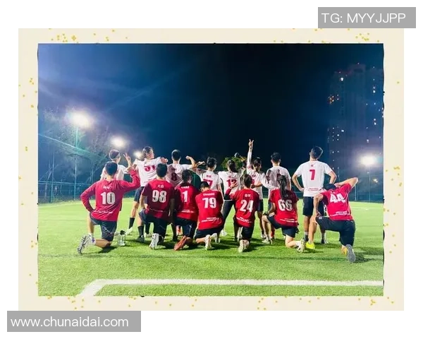 成都飞盘队个人能力深度分析与发展潜力探讨